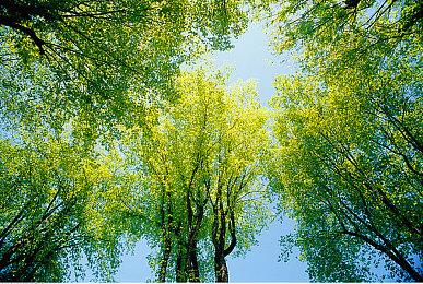 PS5年底前将发布重要系统更新 正招募测试人员